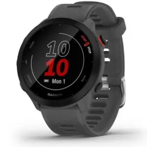 Garmin Forerunner 55 Smartwatch | Monterra Grey | 010-02562-13